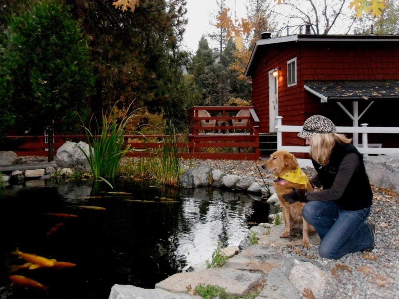 Silver Pines Lodge Айдълуайлд Екстериор снимка